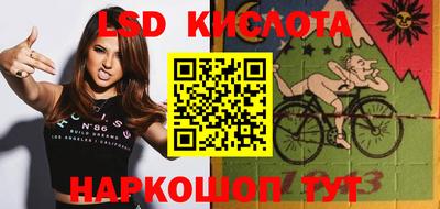 шишки Донской