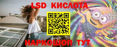 шишки Донской