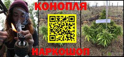 крисы Гусев