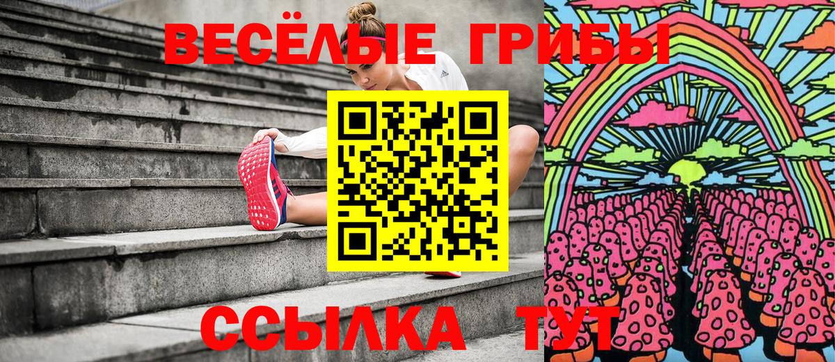 Галлюциногенные грибы ЛСД Мичуринск